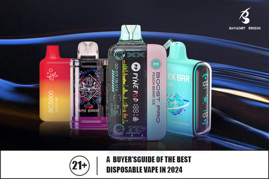 What's the Best Disposable Vape for You? A 2024 Buyer's Guide