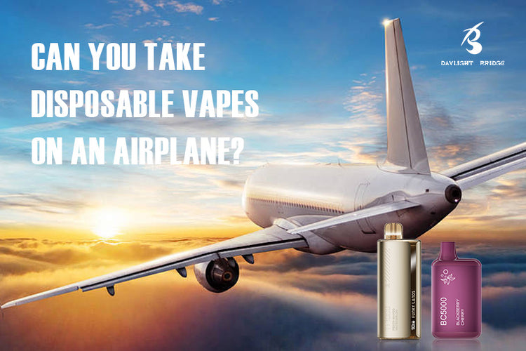 Can You Take Disposable Vapes on an Airplane? Daylight Bridge