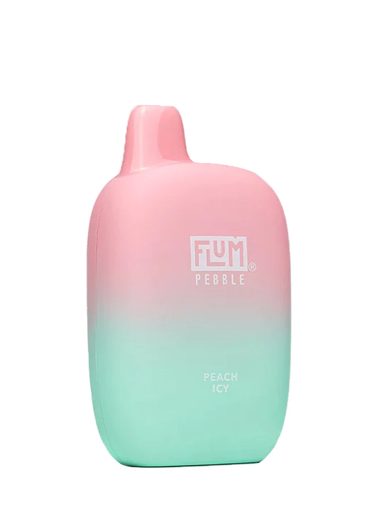 Flum Pebble 6000 Puffs Disposable (Display Box of 10)